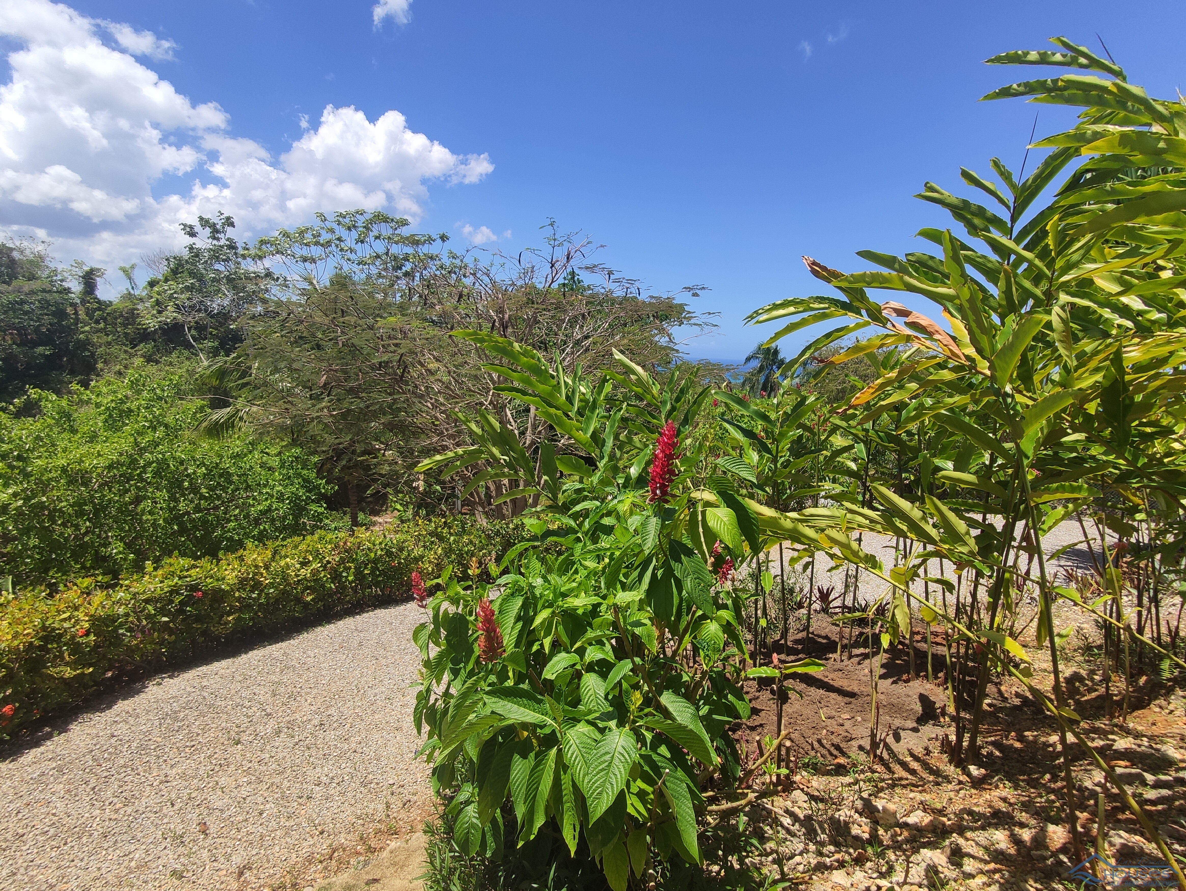 Tropical Retreat with Panoramic Ocean Views in La Jagua, Las Terrenas: A Unique Resale Opportunity