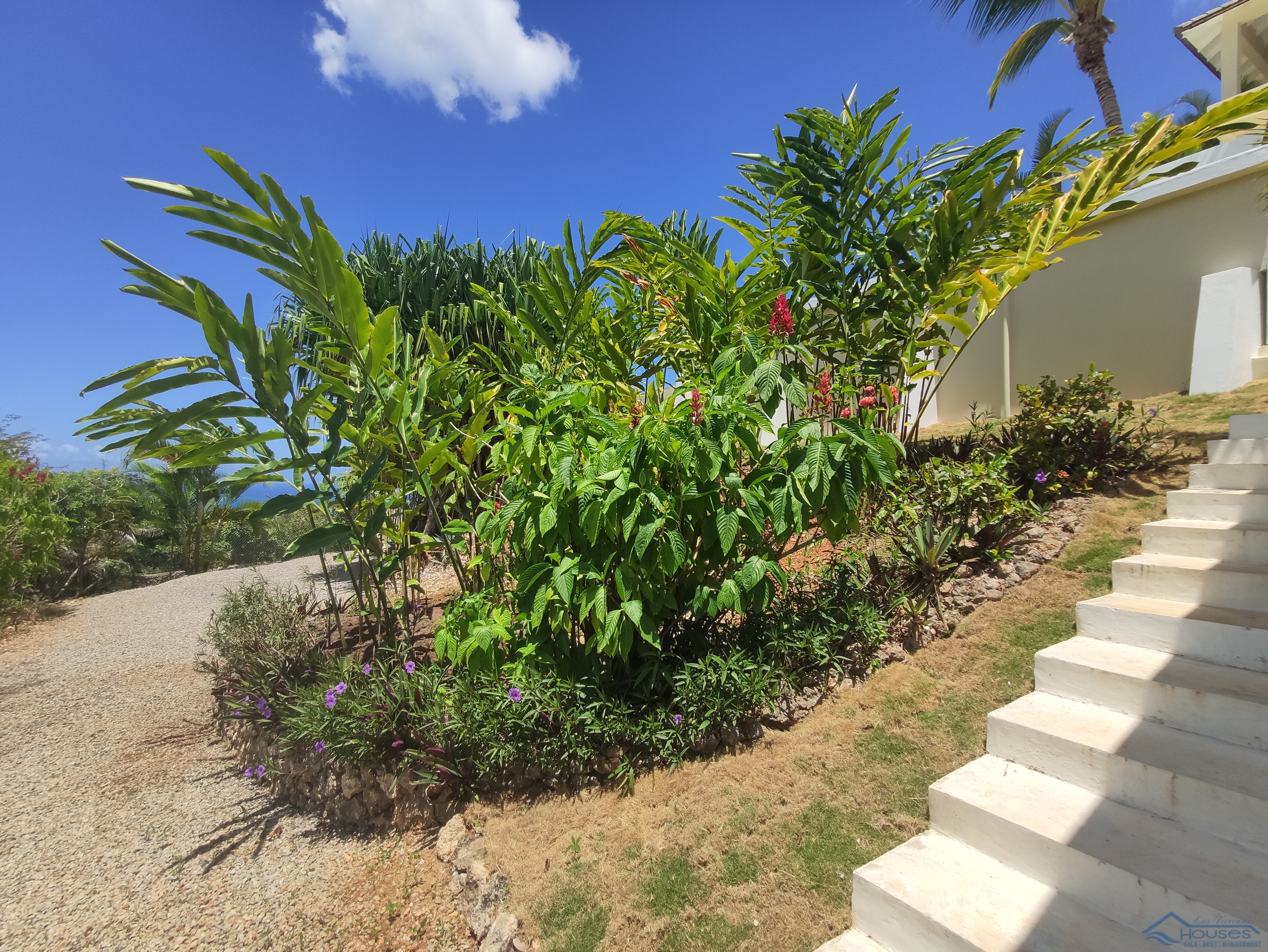 Tropical Retreat with Panoramic Ocean Views in La Jagua, Las Terrenas: A Unique Resale Opportunity