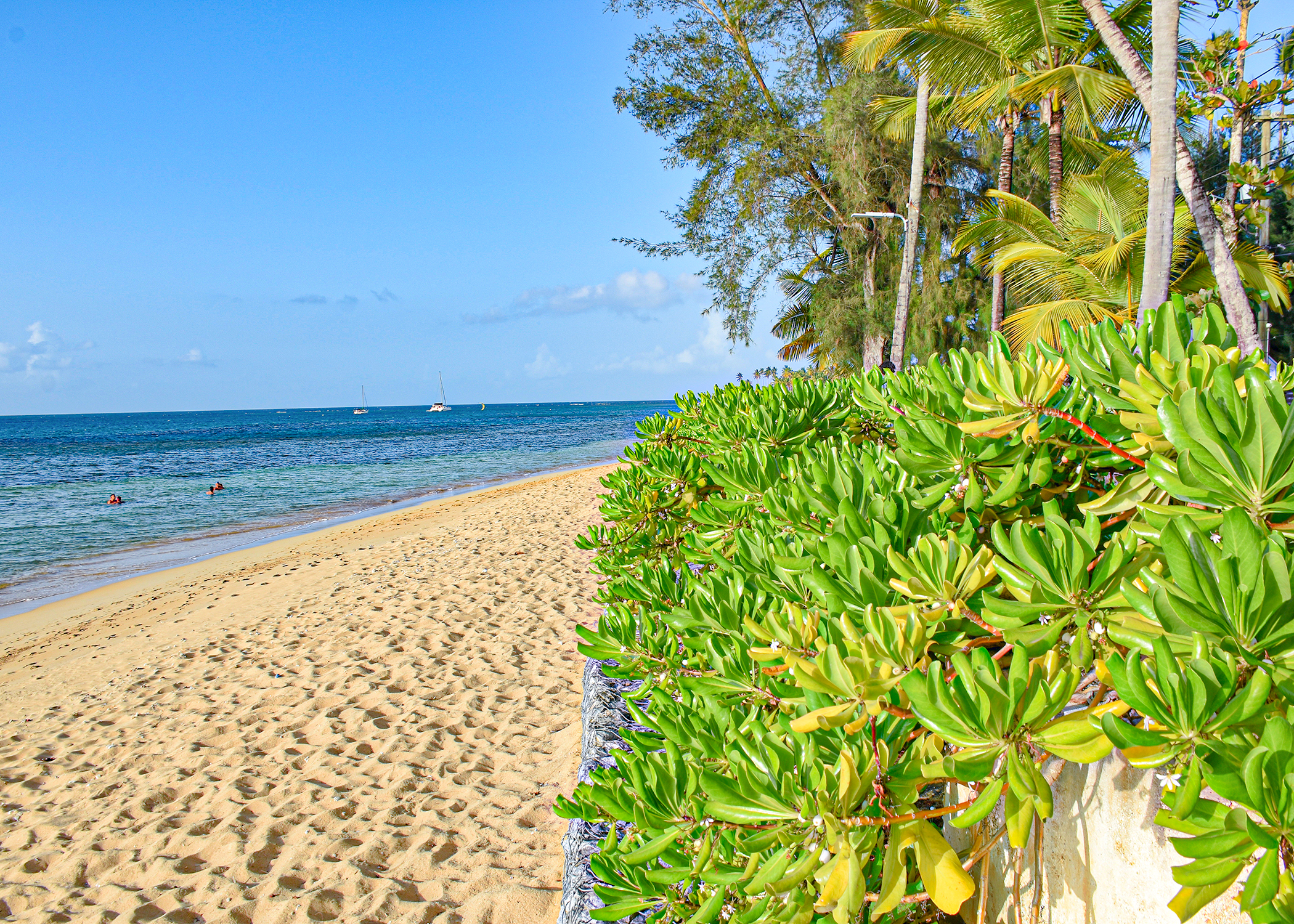 Family Vacation Rental Las Terrenas | Aligio Apartment L3 Punta Popy