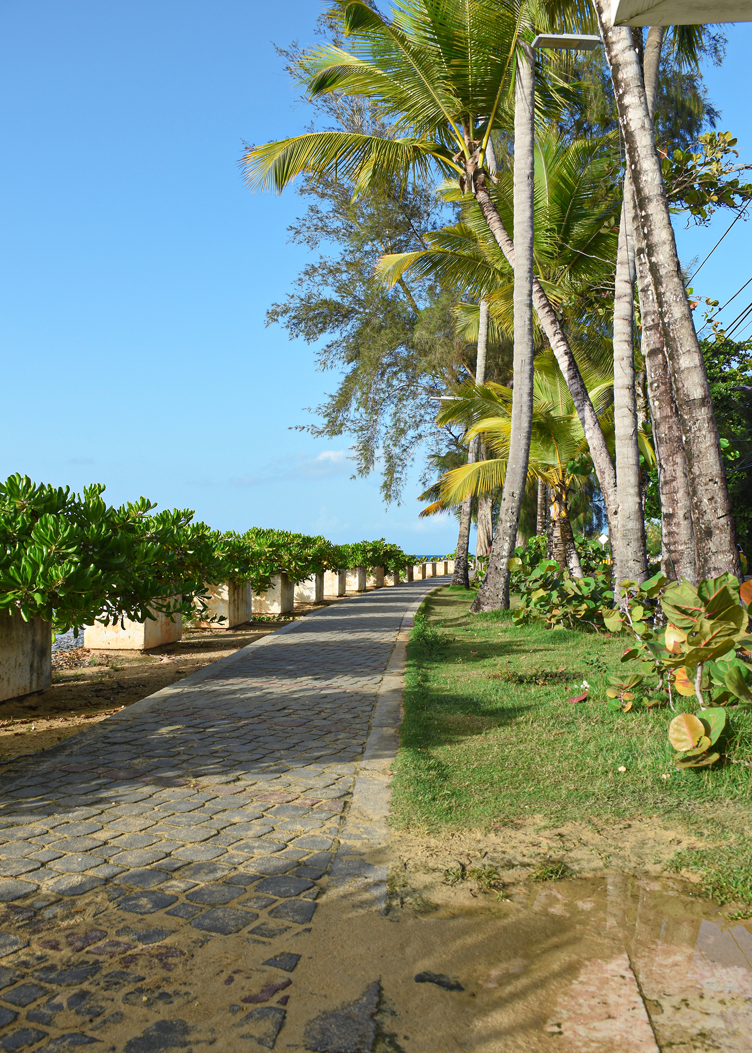 Family Vacation Rental Las Terrenas | Aligio Apartment L3 Punta Popy