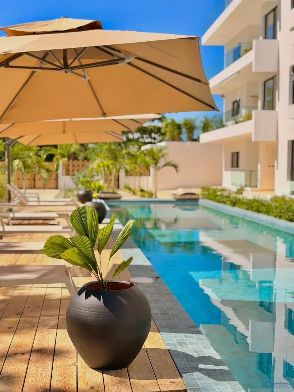 Palmares I | Apartments for Sale in Punta Popy Las Terrenas